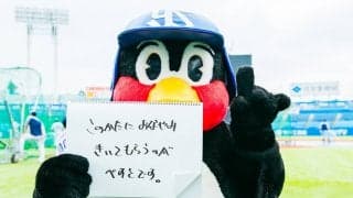つば九郎の人生相談「好きなことを仕事にできて幸せですが、すべてを全力でやろうとして体がちぎれそうです」