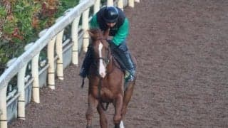 モンサンケコアなど、先週のゲート試験/栗東トレセンニュース