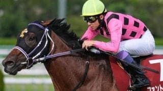 武豊騎手が33回目の菊花賞 淀を知り尽くした名手が6勝目狙う