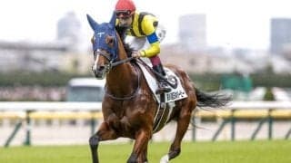 【菊花賞予想オッズ】ソールオリエンスが予想1番人気