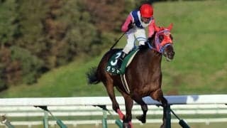 【盛岡・サファイア賞】ダットが大差圧勝…高橋悠「折り合い気をつけた」