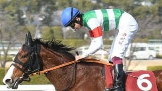 【富士S予想オッズ】ナミュールが予想1番人気