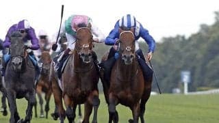 今年のキングジョージ覇者フクムが日本で種牡馬入り 全弟にG1・6勝のバーイード