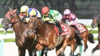 【菊花賞展望】後半のロングスパート戦になり、長い末脚が要求されやすい