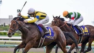 菊花賞の舞台が合うのはタスティエーラか、ソールオリエンスか、それとも...