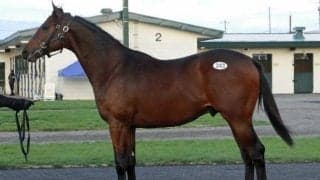 2日間の総取引額11億円超える 北海道市場オータムセール