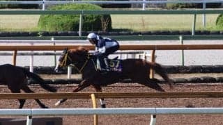 ジャックドール、天皇賞(秋)1週前追い切り速報/栗東トレセンニュース