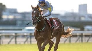 【コーフィールドC】ブレークアップは芝コースを単走 D.レーン騎手「勝つことができるレベルの馬」