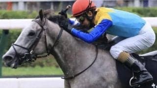 マックイーンの血が騒ぐ!? ナイトインロンドン一変で波乱呼ぶか