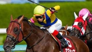 キズナ牡駒のGI初制覇なるか 菊花賞に上がり馬2頭が参戦