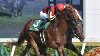 後のグランプリホースも屈した異例ローテ 菊花賞に新潟記念覇者が挑む