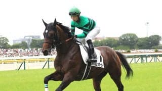 菊花賞はハーツクライ産駒と「父仔３代制覇」を狙うディープインパクト系に注目