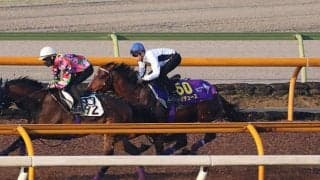 ドウデュース、天皇賞(秋)1週前追い切り速報/栗東トレセンニュース