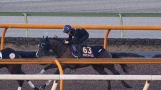 プログノーシス、天皇賞(秋)1週前追い切り速報/栗東トレセンニュース