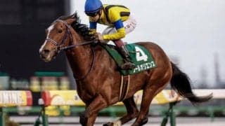 【菊花賞枠順確定】皐月賞馬ソールオリエンスは7枠14番、ダービー馬タスティエーラは4枠7番