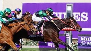 米ブリーダーズカップの馬券発売が決定 日本からは対象4競走に6頭が出走予定