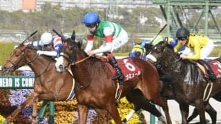 【富士S出走馬・騎手確定】ナミュール＆モレイラ騎手、レッドモンレーヴ＆横山和生騎手など12頭