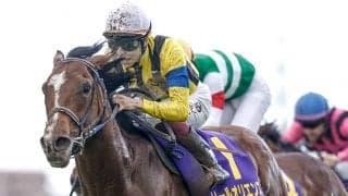 【菊花賞・調教後馬体重】ソールオリエンスは468kg、タスティエーラは486kg