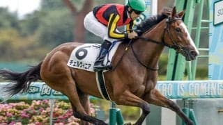 前走6馬身差Vの良血がアルテミスSへ1週前追い ラストは11秒8マーク