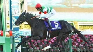 【富士S／全頭診断】馬券妙味は「2.1.0.0」条件合致の5歳馬 ブランク明けステラヴェローチェの評価は