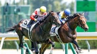 中内田厩舎が2週連続のGI制覇へ 菊花賞で伏兵ダノントルネードが波乱呼ぶ