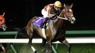 無傷7連勝中の三冠馬ミックファイア、JpnI・3勝のメイショウハリオなど JBCクラシック選定馬が発表