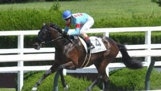 デビュー戦7馬身差Vのエストレヤデベレン、前哨戦を制したパッションクライなど JBC2歳優駿選定馬が発表