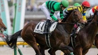 86年以降では初の1勝馬Vなるか ハーツコンチェルトらが菊花賞に挑む