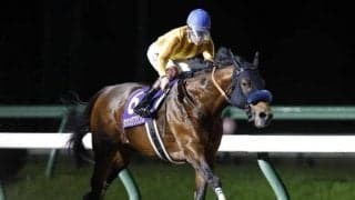 連覇を狙うダンシングプリンス、NAR年度代表馬イグナイターなど JBCスプリント選定馬が発表