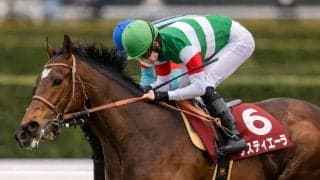 【菊花賞】出走馬の調教後の馬体重