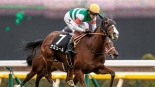 【富士S枠順確定】ナミュールは5枠6番、レッドモンレーヴは7枠9番