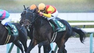 21年京都2歳S覇者ジャスティンロックが抹消 今後は馬事公苑で乗馬に