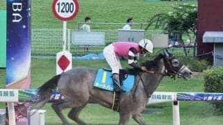 ヌートバーが初勝利 侍ジャパンに負けない活躍に期待