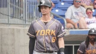 DeNA戦力外から2年…異国で躍動した29歳　GG賞に打率.330…目指すメジャー球団との契約