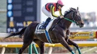 【富士S予想】混戦ムードのマイルCS前哨戦！ ハイレベルな一戦だからこそ前走のレース格が重要