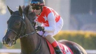 富士Sで久々復帰のステラヴェローチェ 平地重賞の最長ブランクV記録目指す