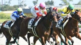 近年の富士Sは3歳馬が好成績 今年はGI・2着の実力馬がエントリー