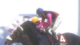 31歳ホッカイルソー死す 重賞2勝の名バイプレーヤー