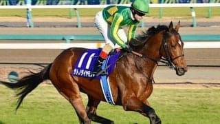 近親に名馬がズラリ 良血サトノダイヤモンド産駒がルメール騎手でデビュー
