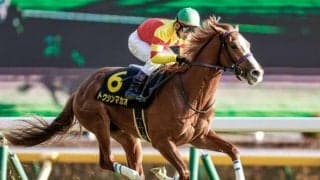 【スワンS想定馬・騎手】トウシンマカオ、グレナディアガーズなど20頭