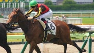 近親ディープのスワーヴリチャード産駒 アイビーSで無傷2連勝狙う