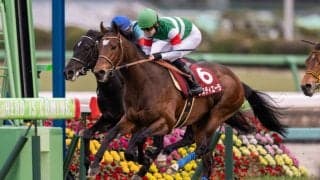 【菊花賞】ダービー馬・タスティエーラは4枠7番へ