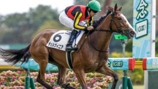 【アルテミスS想定馬・騎手】チェルヴィニア、サフィラなど11頭