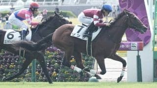 【新馬/東京3R】ナイトオブサンダー産駒 ソンシが人気に応える