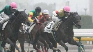 【新馬/東京5R】イスラボニータ産駒 カルツァクラインがデビューV