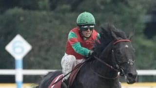 【東京ハイジャンプ】マイネルグロンが3連勝で障害重賞初制覇