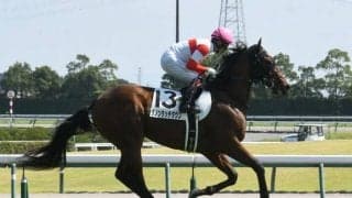 【富士S予想】マイルCSに繋がる重要な前哨戦