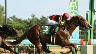 菊花賞は皐月賞馬、ダービー馬による３度目のワンツー決着もある　穴なら距離延びてよさが出てきた素質馬