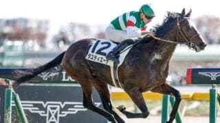 【菊花賞予想】2冠制覇が濃厚!? 適性問われる3000m戦を馬体面からジャッジ