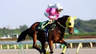 重賞4勝の個性派牝馬 オースミハルカの最後の産駒がデビュー